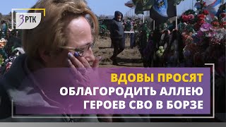 Вдовы просят облагородить аллею героев СВО в Борзе