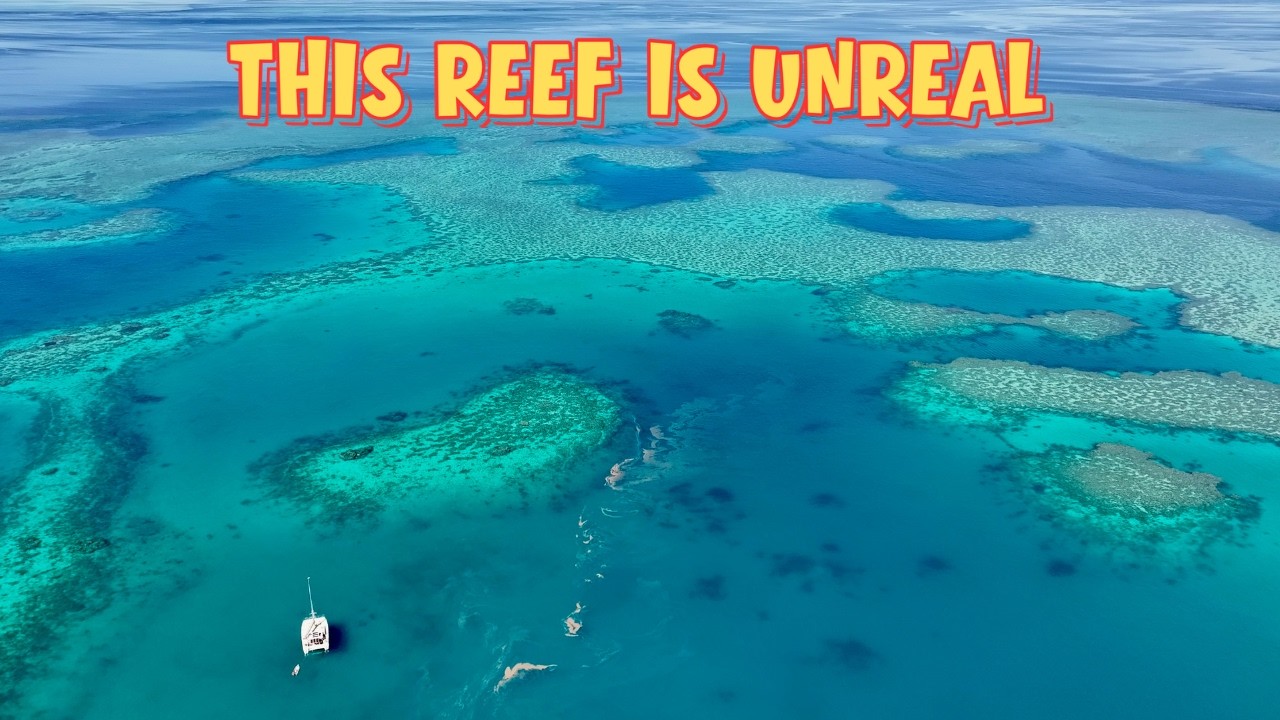 ⁣Hook and Black Reef's Sailing Outer Great Barrier Reef Whitsundays Our Fishing Luck Finally Changed