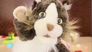O Gato do Mal PC Siqueira screenshot 2