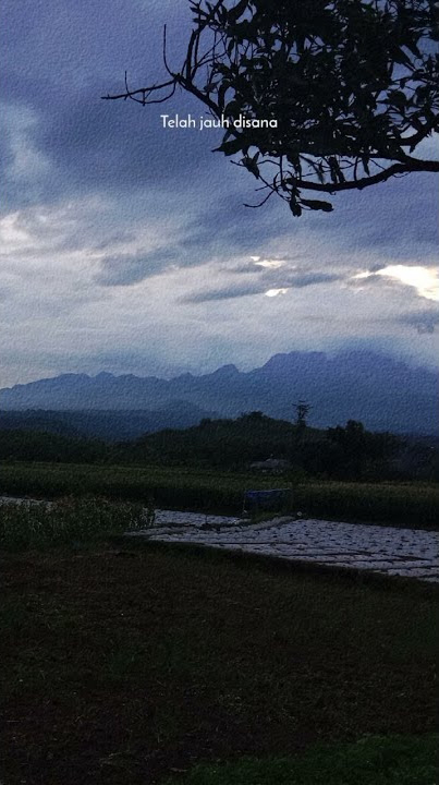 Story||Last Child - Rindumu Disana||For You