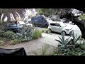 asshole neighbors