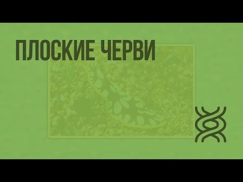 Видеоурок по биологии сонин 7 класс