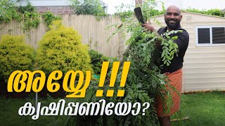 അമേരിക്കയിലെ കൃഷിപ്പണി-Malayalam Vlog.