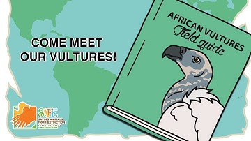 Meet 6 of Africa most endangered vultures [Animated Video]