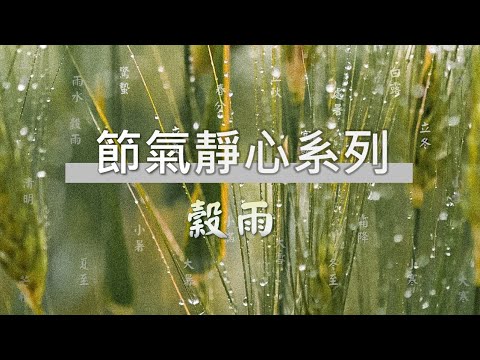 穀雨靜心 l 節氣靜心系列#11 ＃ 光的課程陳星宇 l