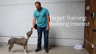 Dog Target Training: Building Interest screenshot 1