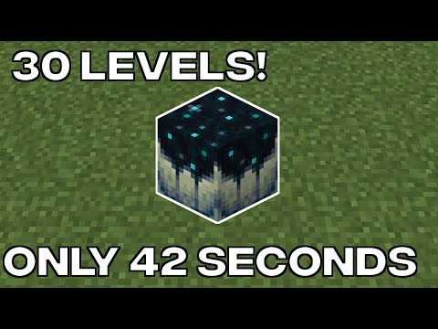 Level 0 - 30 In 42 Seconds With Sculk Catalyst Mining