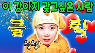 급걸 가족을 못말리는 이유ㅋㅋㅋ(ft.가족 유형)