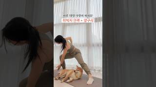 매일1분‼️허벅지 안쪽+옆구리 동시에 정리하는 루틴🔥 #옆구리 #허벅지살빼기 #허벅지운동 #허벅지안쪽살 #다이어트 #홈트 #전신운동 #전신근력운동 #전신유산소