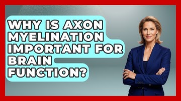 Why Is Axon Myelination Important For Brain Function? - Brain Development Hub