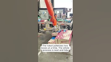 The robot palletizes two boxes at a time. The whole process is neat and tidy.#automation #robot