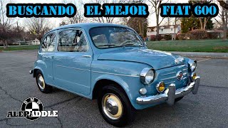 Buscando FIAT 600 - Encontre el MEJOR !!! #Alepaddle