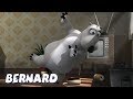 Бернард Медведь | Тренировка скаутов И БОЛЬШЕ | Мультфильмы для детей | Полные эпизоды