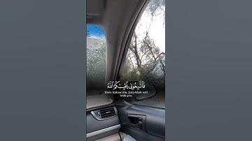 تلاوه تدبر #محمدسيدعبدالعاطى #اكسبلور #دويتو #mohmed #quran #survival #تلاوات #لايك #مصر #ترند