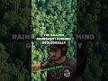 Exploring Untouched Amazon Rainforest: Ancient Trees &amp; Jaguar Tracks | Paul Rosolie &amp; Joe Rogan #jre