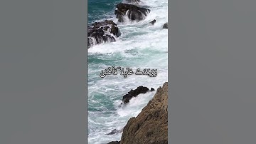 سورة الضحى(تلاوة خاشعة)ماهر المعيقلي 🎧💙 #ماهرالمعيقلي #quran #اكسبلور