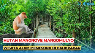 Menikmati Keindahan Hutan Mangrove Margomulyo di Balikpapan