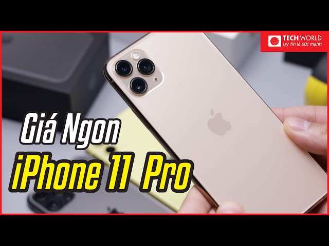 iPhone 11 Pro sau 3 năm ra mắt - QUÁ NGON TRONG TẦM GIÁ