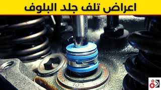 جلد البلوف أهم 3 علامات تدل على تلفها