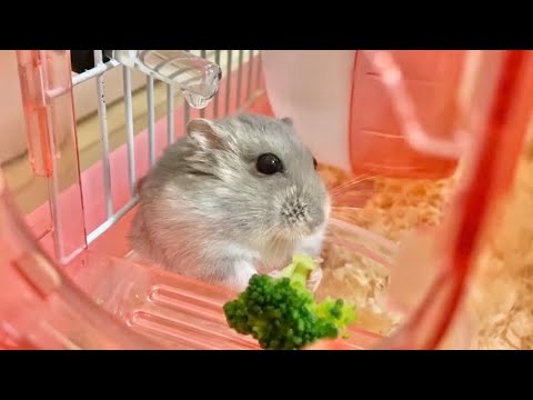 落としちゃった