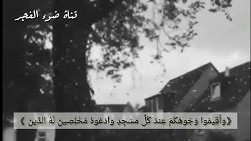 حالات واتس ♡سعد الغامدي♡ آيه 29 من سورة الاعراف