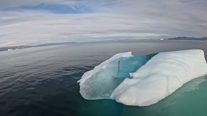 Ilulissat 2024 Puisinniarneq