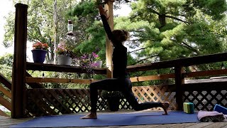 LIVE CLASS: Full Hatha Yoga Practice for beginner/intermediate student  Focus: upper body opening