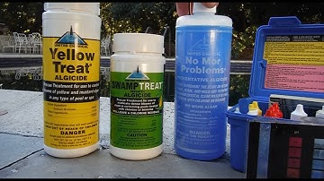 What Causes Algae in a pool & How to Treat and Prevent It