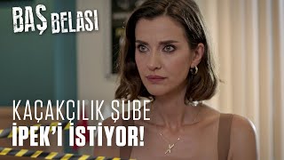 Organize Şube İpekten Yardım Istiyor - Baş Belası 12. Bölüm