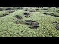 The Mossy Lava Fields of Iceland