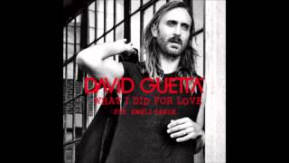 David Guetta - What I Did For Love