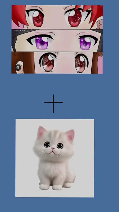 cecan Shinbi house.hari, gaeun dan sara menjadi kucing