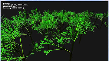 Fractal Based Forest