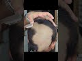 Head shave ASMR #shorts #viral #trending #zaibibarbershop