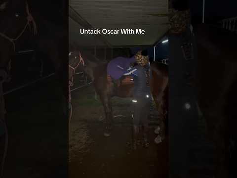 Untack My Horse