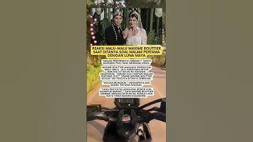 Reaksi Malu-Malu Maxime Bouttier Saat Ditanya Soal Malam Pertama dengan Luna Maya #viralvideo