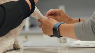 Mobilizing Rvts® Is An Investment That Will Make Your Clinic Money