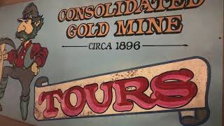 Consolidated Gold Mine Tour