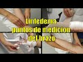 Puntos de medición en Brazos (Linfedema)