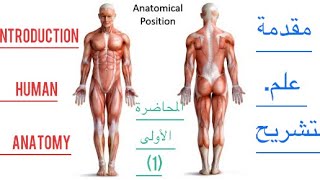 كلية الطب/مقدمة:-علم التشريح البشري المحاضرة الأولى(1 Upper limb/Anatomy/introduction human anatomy