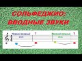 Сольфеджио: ВВОДНЫЕ ЗВУКИ. Куда же они всё-таки вводят???