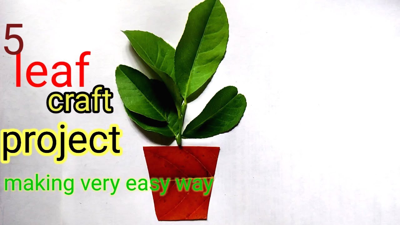 Leaf File Project 5 Leaf art idea for school project/leaf art/plant🌱leaf project/leaf ...