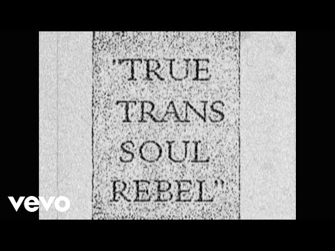 Against Me! - True Trans Soul Rebel