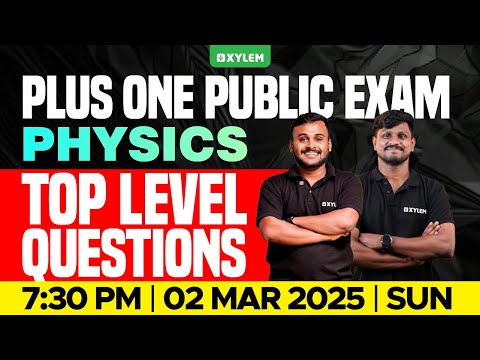 Plus One Public
