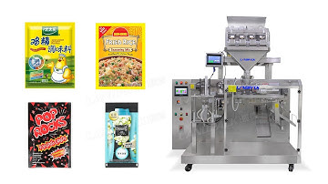 Automatic Granules Horizontal Doypack Packaging Machine With Linear Weigher