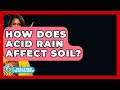 How Does Acid Rain Affect Soil? - Weather Watchdog