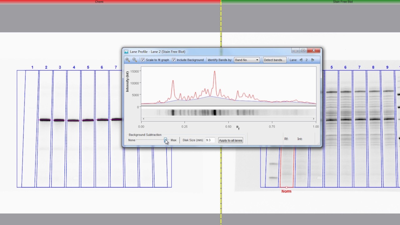 Total Protein Normalization Basic Tutorial