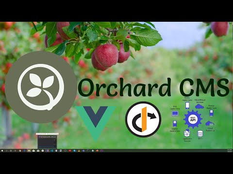 Orchard Core OpenID Connect Code Flow API Authorization with a Vue.js Client CRUD Application