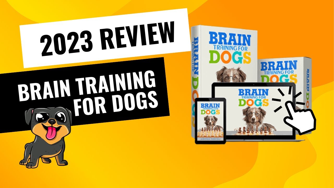 Brain Training 4 Dogs Review