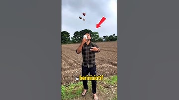 Kentang dan bawang pria ini panen👍 #shorts #trending #shortvideo